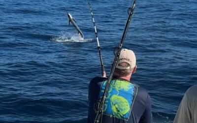 The 5 Best Fishing Baits in Morehead City That Guarantee a Catch