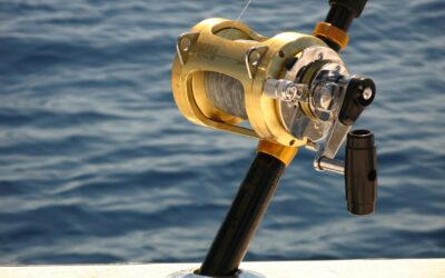 10 Fun Family Boating Activities To Try
